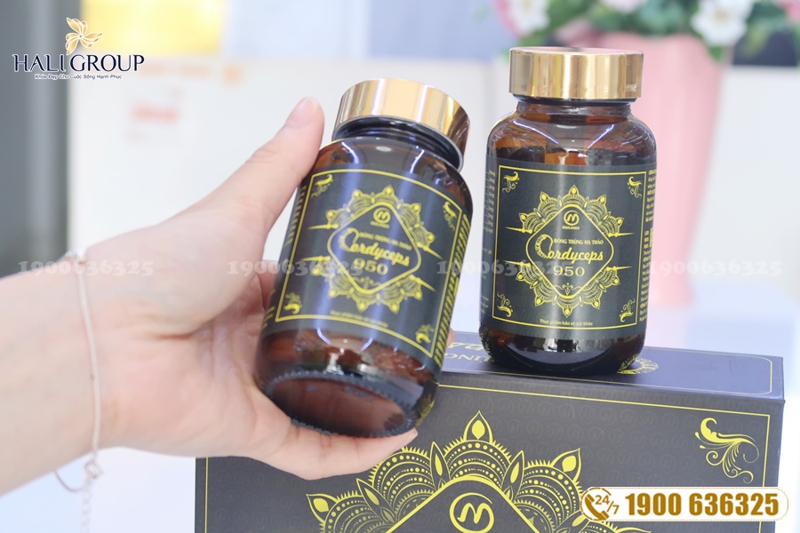 Đông Trùng Hạ Thảo Cordyceps 950 - thực phẩm tuyệt vời cho sức khỏe của bạn
