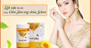 Giới thiệu về Royal Jelly Sữa Ong Chúa