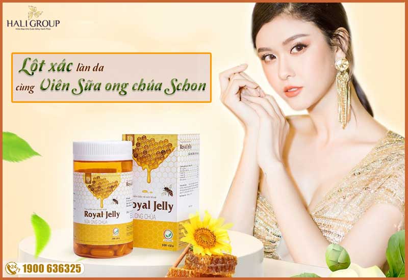 Giới thiệu về Royal Jelly Sữa Ong Chúa
