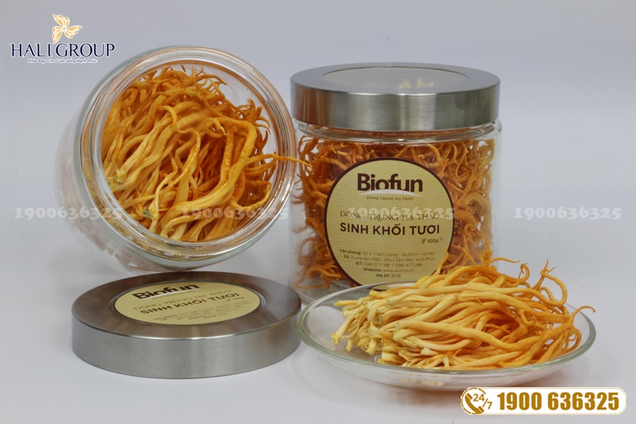 Thực phẩm tăng cường sức Biofun Đông Trùng Hạ Thảo: nhà sản xuất đông trùng hạ thảo uy tín hiện nay