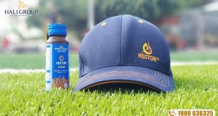 Thực phẩm chăm sóc sức Đông Trùng Hạ Thảo Hector chính hãng: nhà sản xuất đông trùng hạ thảo uy tín hiện nay