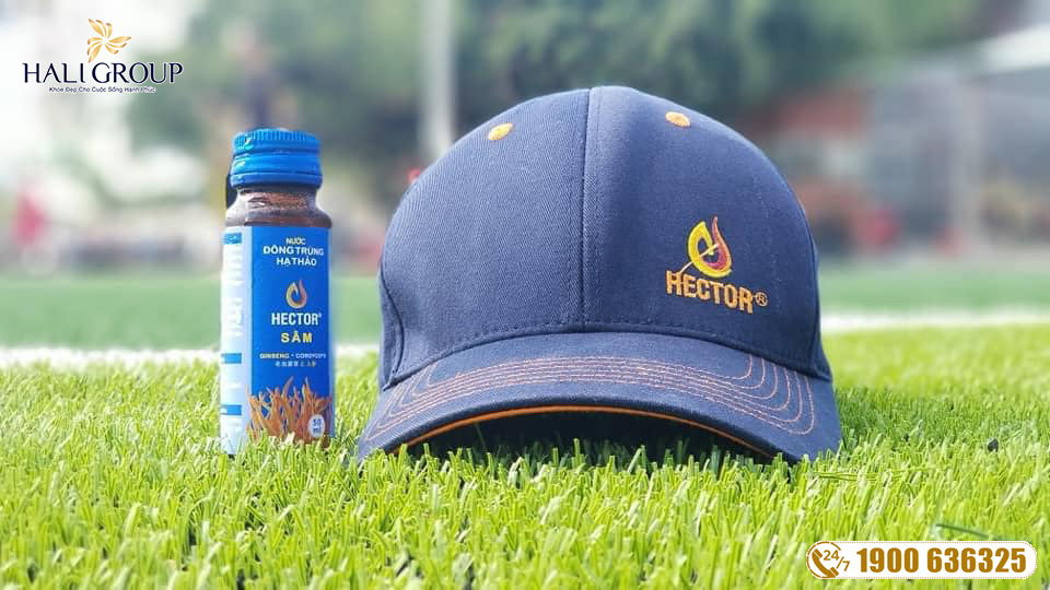 Thực phẩm chăm sóc sức Đông Trùng Hạ Thảo Hector chính hãng: nhà sản xuất đông trùng hạ thảo uy tín hiện nay