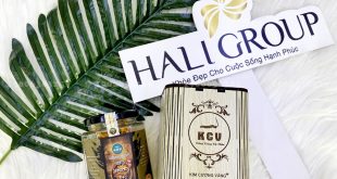 Nhà phân phối đông trùng hạ thảo khô Kim Cương Vàng sinh khối hộp 10g của Tiến Luật