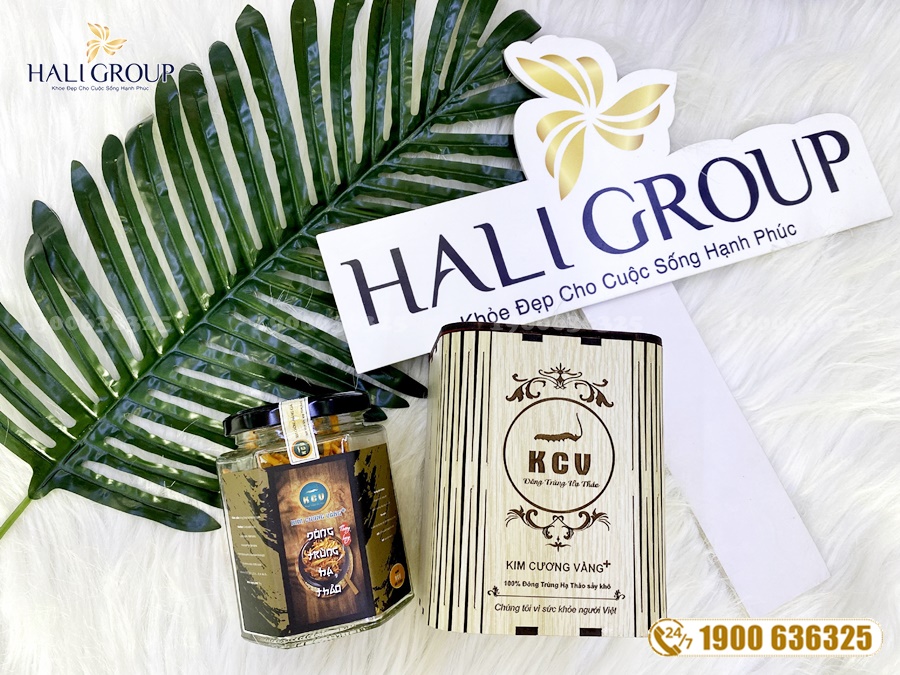 Nhà phân phối đông trùng hạ thảo khô Kim Cương Vàng sinh khối hộp 10g của Tiến Luật