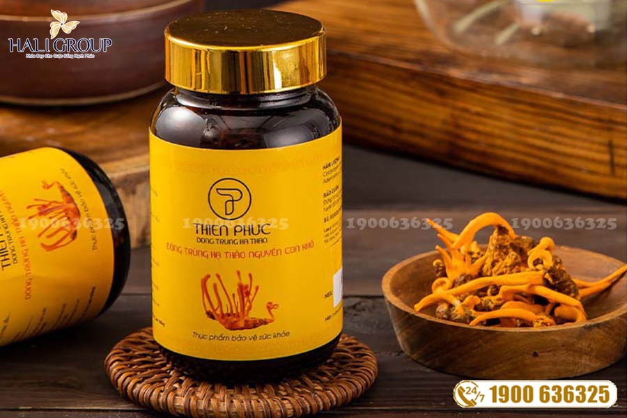 Phân phối đông trùng hạ thảo nguyên con Thiên Phúc tại HCM