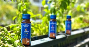 Hector Sâm - sản phẩm "vàng" cho sức khỏe của bạn