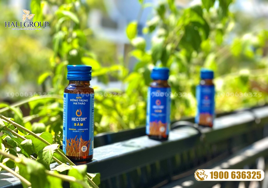 Hector Sâm - sản phẩm "vàng" cho sức khỏe của bạn
