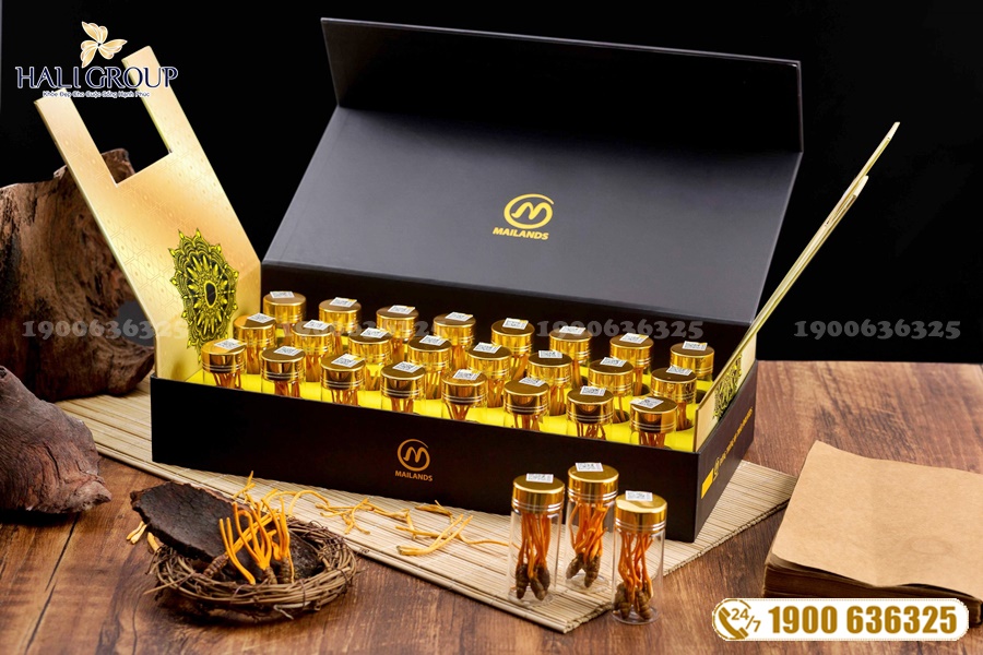 Nhộng Đông trùng hạ thảo Mailands - thực phẩm "vàng" cho người bị suy nhược cơ thể