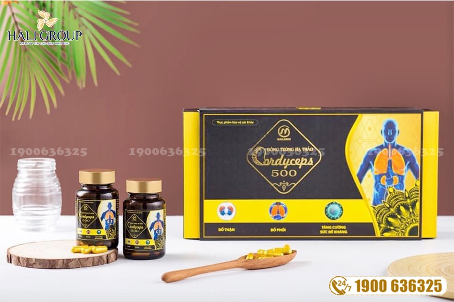 Viên Nang Đông Trùng Hạ Thảo 500 Mailands - thực phẩm "vàng" cho sức khỏe của bạn