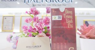 Phân phối viên uống đông trùng linh chi Ngọc Trinh chính hãng GHB